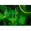 "Jungle"