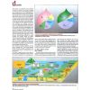 illustrations for an agriculture  magzine 